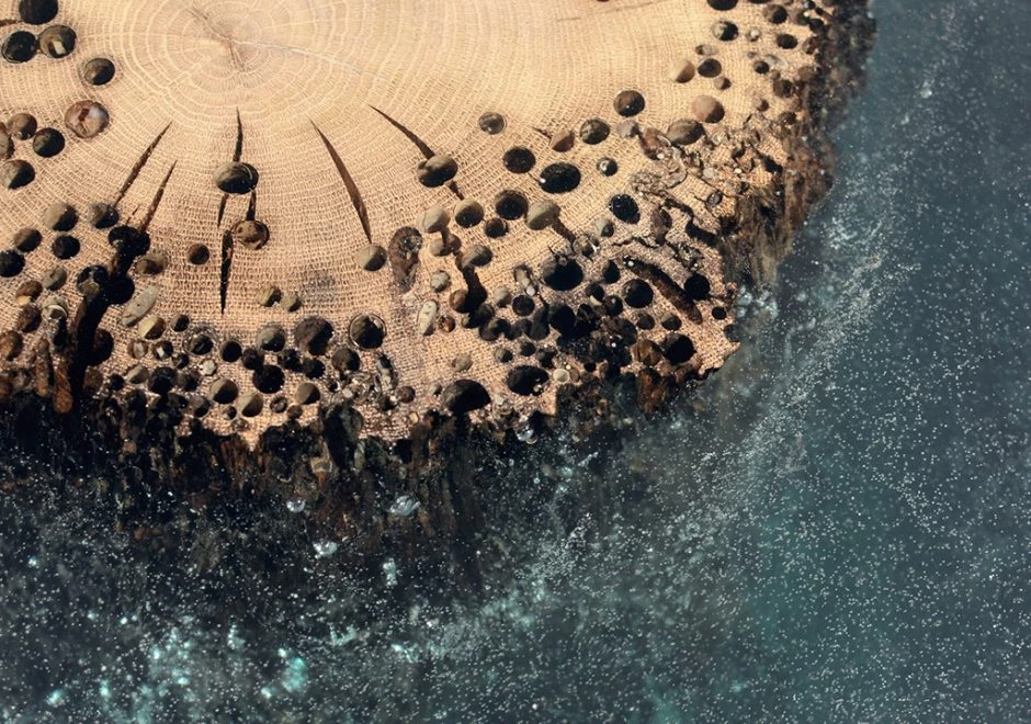Detalhe de banco da marca Alcarol de resina azul e madeira, visto de frente.