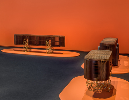 Exposição Ripas / Irmãos Campana